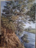 Ochsengespann zu Schüßler Mühle